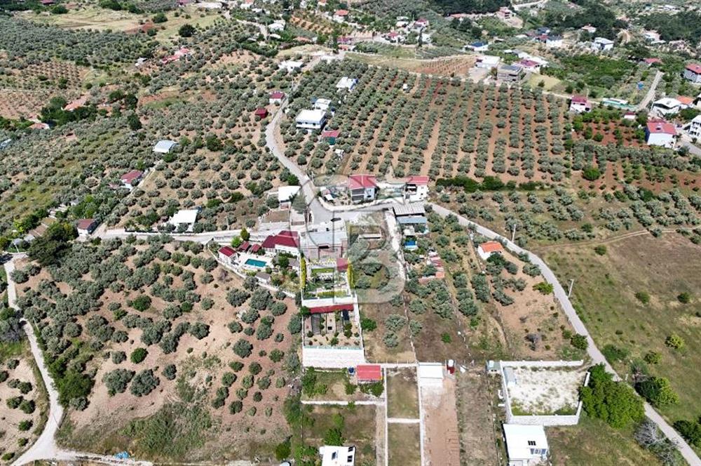 İzmir Buca Belenbaşı Köyü 1228 m2 Tek Tapu Satılık Tarla