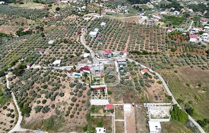 İzmir Buca Belenbaşı Köyü 1228 m2 Tek Tapu Satılık Tarla