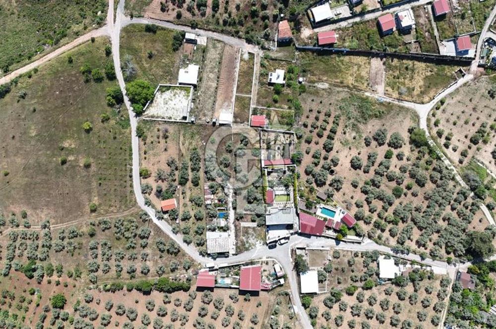 İzmir Buca Belenbaşı Köyü 1228 m2 Tek Tapu Satılık Tarla