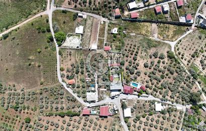 İzmir Buca Belenbaşı Köyü 1228 m2 Tek Tapu Satılık Tarla