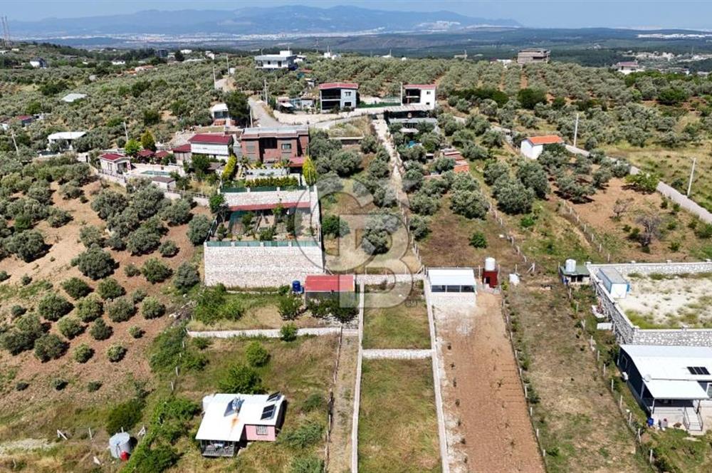 İzmir Buca Belenbaşı Köyü 1228 m2 Tek Tapu Satılık Tarla