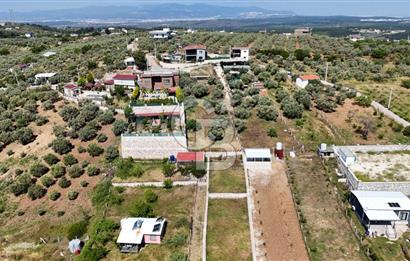 İzmir Buca Belenbaşı Köyü 1228 m2 Tek Tapu Satılık Tarla