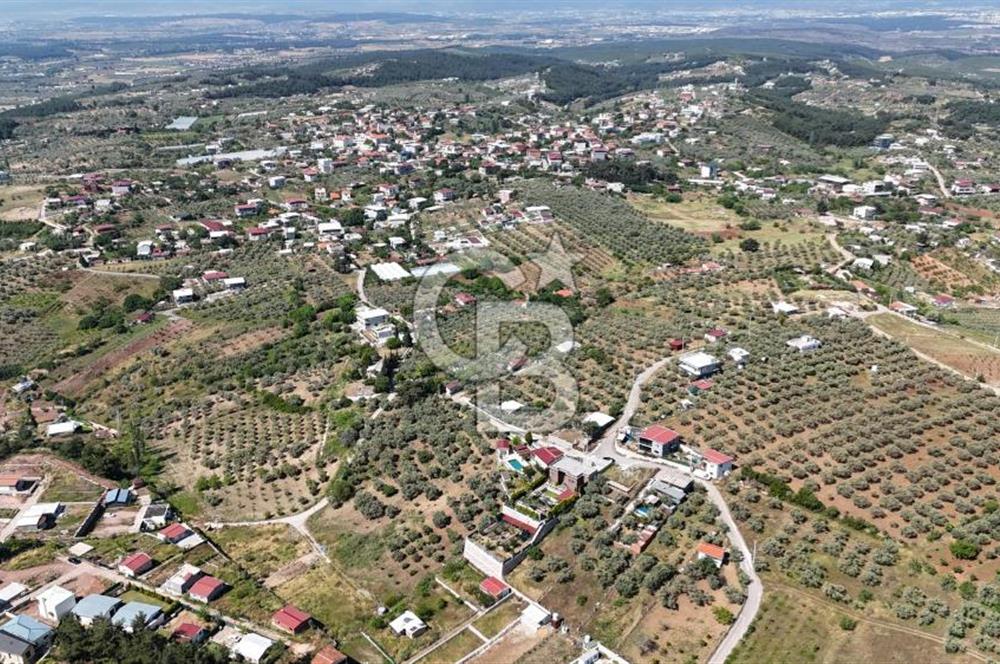 İzmir Buca Belenbaşı Köyü 1228 m2 Tek Tapu Satılık Tarla