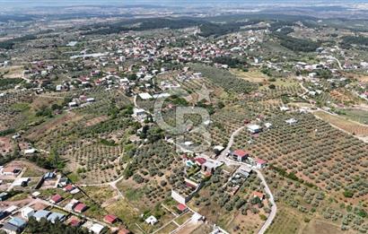 İzmir Buca Belenbaşı Köyü 1228 m2 Tek Tapu Satılık Tarla