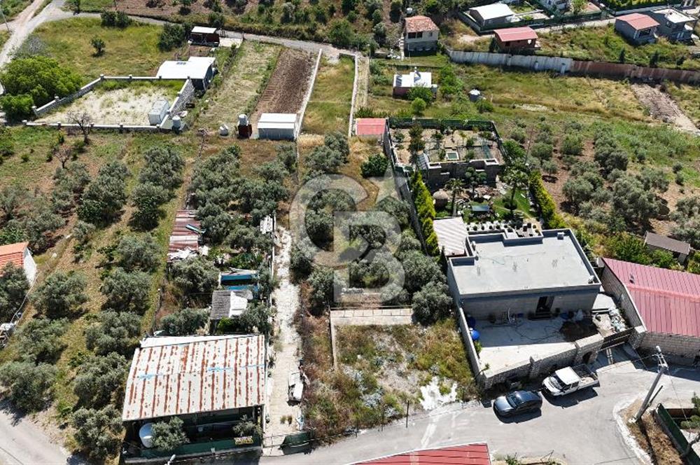 İzmir Buca Belenbaşı Köyü 1228 m2 Tek Tapu Satılık Tarla