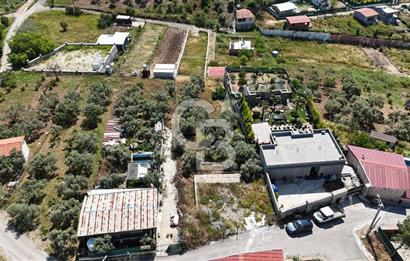 İzmir Buca Belenbaşı Köyü 1228 m2 Tek Tapu Satılık Tarla