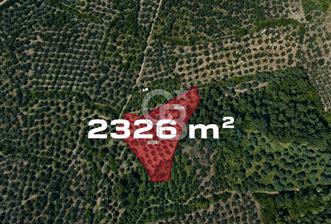 Gemlik Gençali'de Togg Fabrikası'na 1.5 KM Mesafede Yatırımlık Tarla - 9 - 350748
