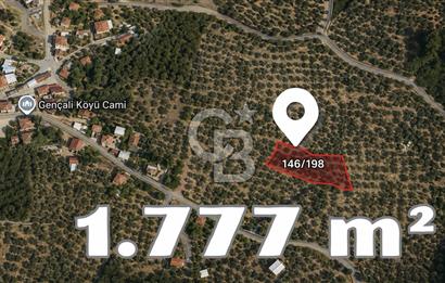 Gemlik Gençali Köyünde Yatırıma Uygun Yerleşime 100 Metre Tarla