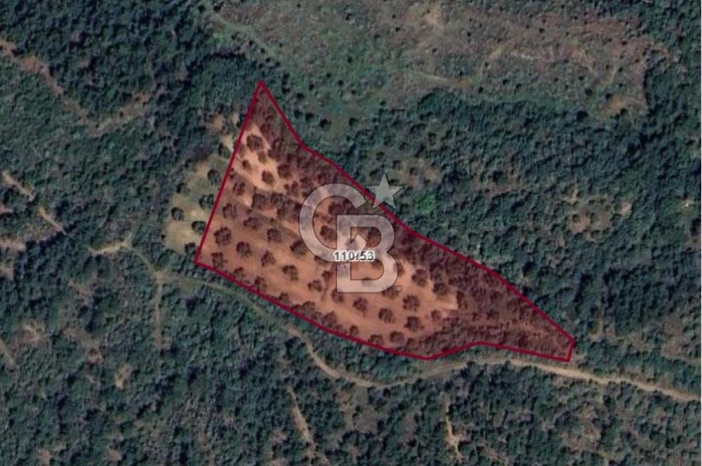 AYVALIK TIFILLAR'DA İMARA SIFIR KONUMDA SATILIK 9.760 m² TARLA