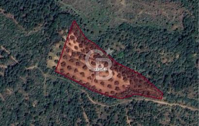AYVALIK TIFILLAR'DA İMARA SIFIR KONUMDA SATILIK 9.760 m² TARLA