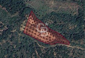 AYVALIK TIFILLAR'DA İMARA SIFIR KONUMDA SATILIK 9.760 m² TARLA - 3 - 350758