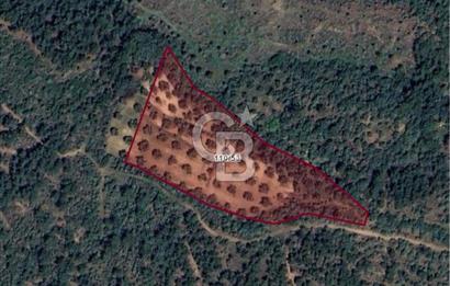 AYVALIK TIFILLAR'DA İMARA SIFIR KONUMDA SATILIK 9.760 m² TARLA