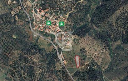 AYVALIK HACIVELİLERDE İMAR SINIRINDA SATILIK TARLA