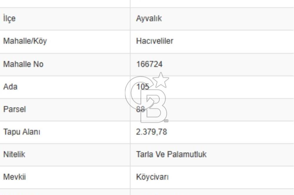 AYVALIK HACIVELİLERDE İMAR SINIRINDA SATILIK TARLA