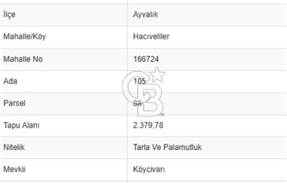 AYVALIK HACIVELİLERDE İMAR SINIRINDA SATILIK TARLA