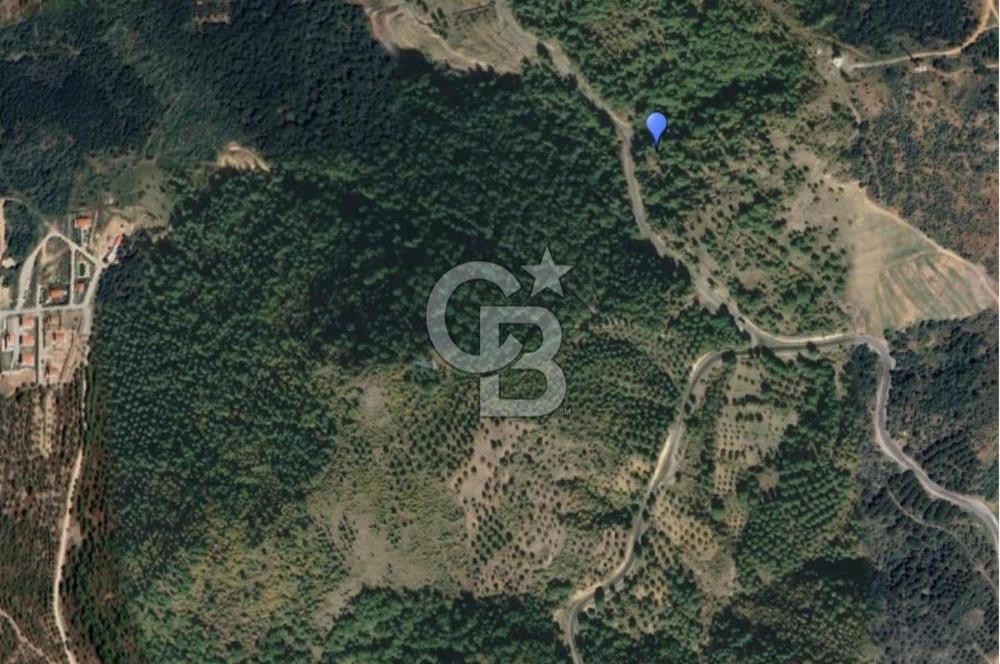 AYVALIK HACIVELİLER KÖYÜNDE VİLLA İMARLI SATILIK ARSA