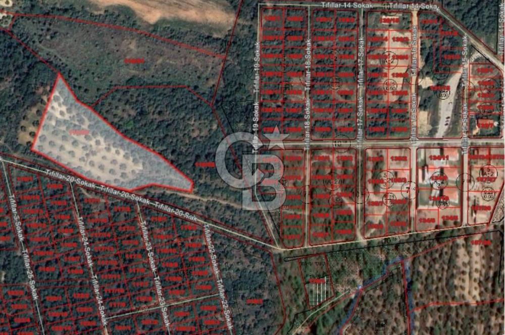AYVALIK TIFILLAR'DA İMARA SIFIR KONUMDA SATILIK 9.760 m² TARLA