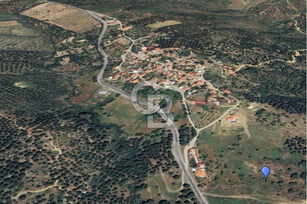 AYVALIK HACIVELİLERDE İMAR SINIRINDA SATILIK TARLA