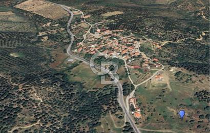 AYVALIK HACIVELİLERDE İMAR SINIRINDA SATILIK TARLA