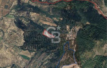 AYVALIK TIFILLAR'DA İMARA SIFIR KONUMDA SATILIK 9.760 m² TARLA