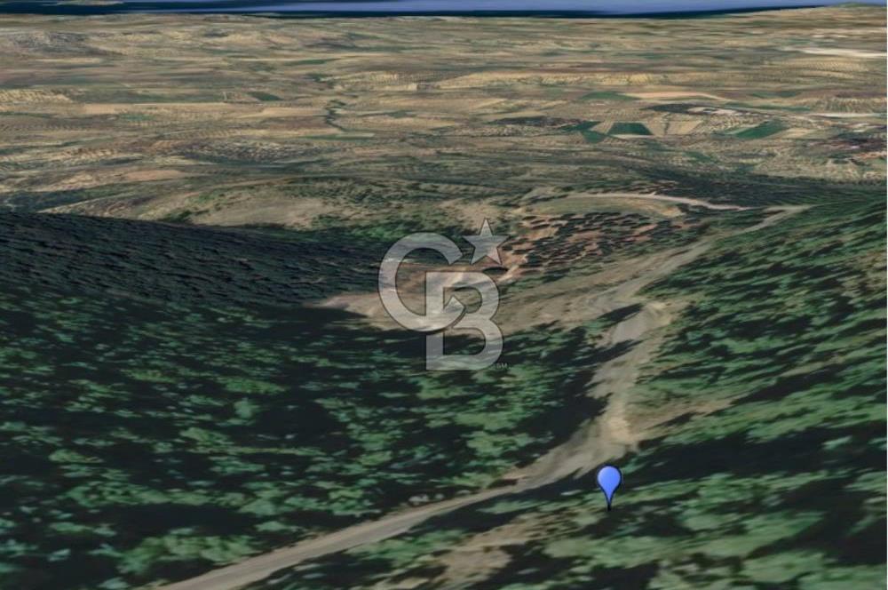 AYVALIK HACIVELİLER KÖYÜNDE VİLLA İMARLI SATILIK ARSA