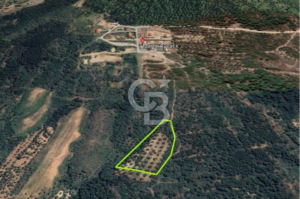 AYVALIK TIFILLAR'DA İMARA SIFIR KONUMDA SATILIK 9.760 m² TARLA