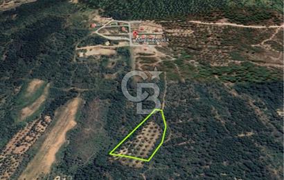 AYVALIK TIFILLAR'DA İMARA SIFIR KONUMDA SATILIK 9.760 m² TARLA