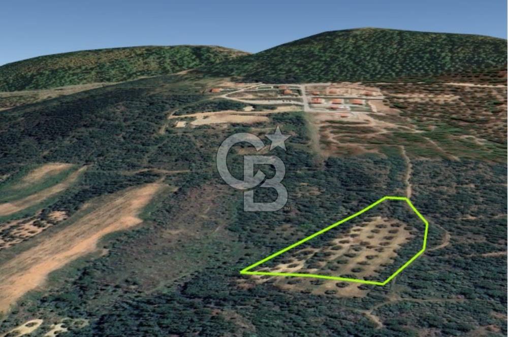 AYVALIK TIFILLAR'DA İMARA SIFIR KONUMDA SATILIK 9.760 m² TARLA