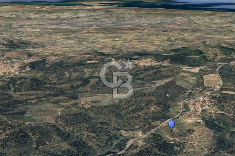 AYVALIK HACIVELİLERDE İMAR SINIRINDA SATILIK TARLA