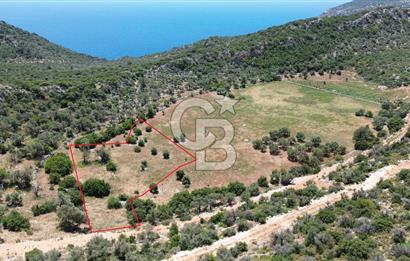 CB GİZ'DEN KALKAN BEZİRGANDA VİLLA ARAZİSİ