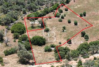 CB GİZ'DEN KALKAN BEZİRGANDA VİLLA ARAZİSİ - 3 - 350744
