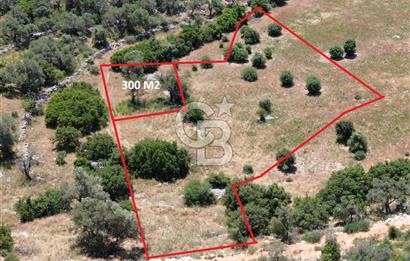 CB GİZ'DEN KALKAN BEZİRGANDA VİLLA ARAZİSİ