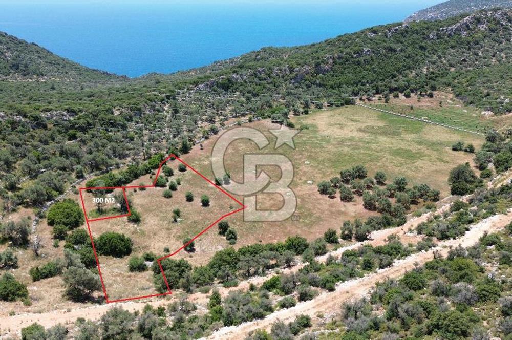 CB GİZ'DEN KALKAN BEZİRGANDA VİLLA ARAZİSİ