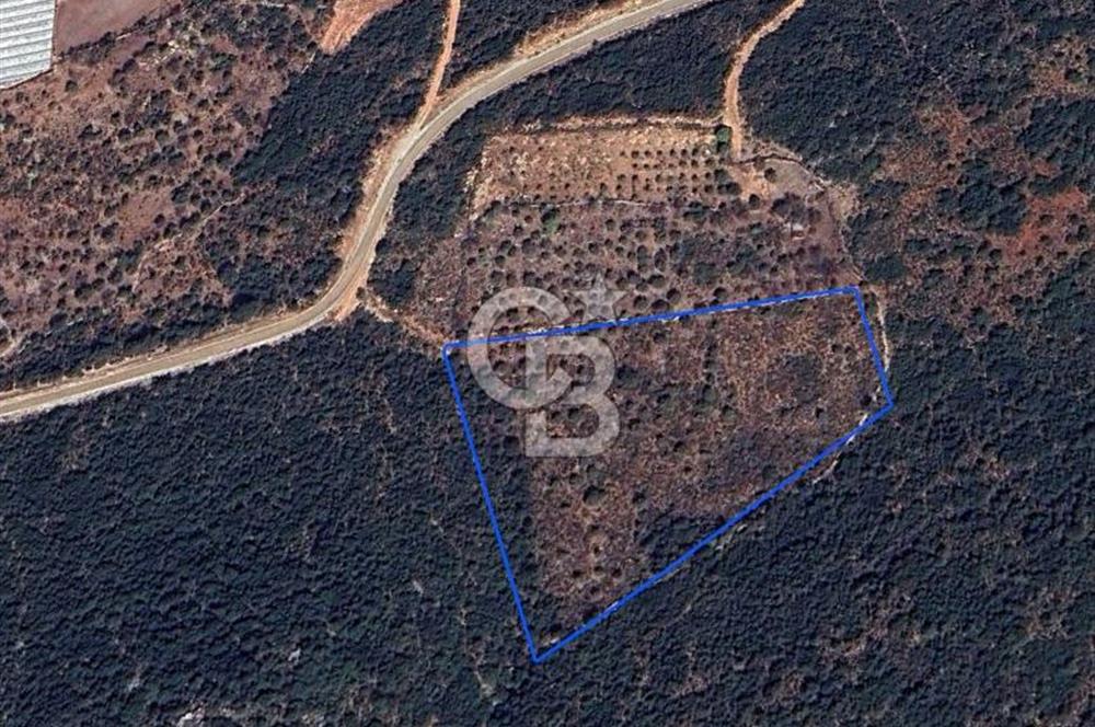 CB GİZ'DEN KAŞ SAHİL KILINÇLIDA SATILIK ARSA