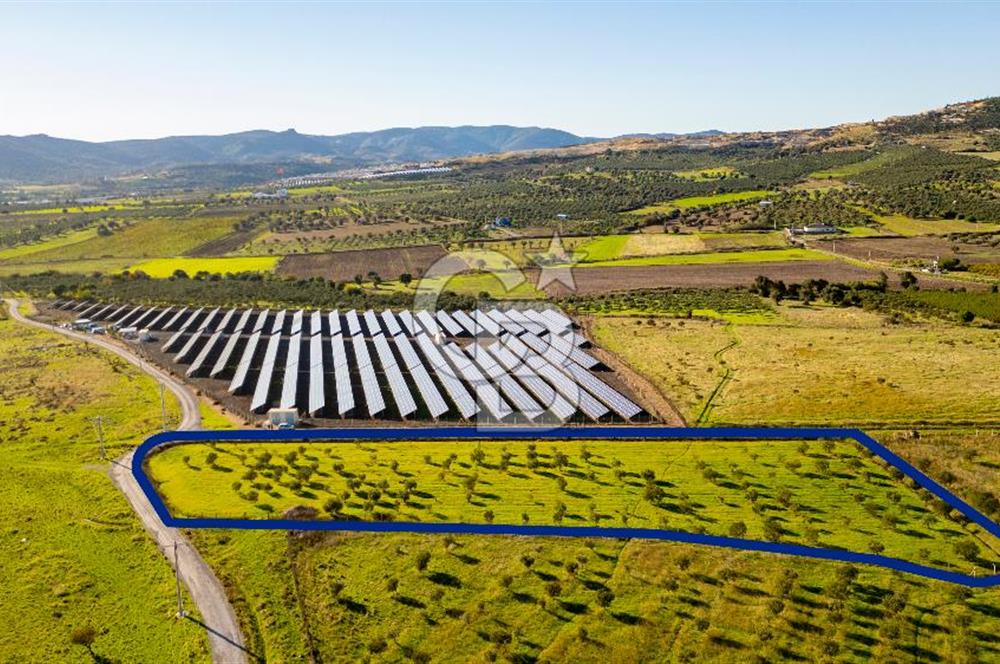 Foça Kocamehmetler’de Tek Tapu Satılık 6.484 m² Tarla 