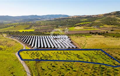 Foça Kocamehmetler’de Tek Tapu Satılık 6.484 m² Tarla 