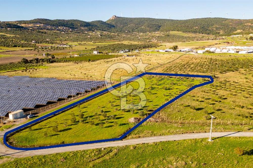 Foça Kocamehmetler’de Tek Tapu Satılık 6.484 m² Tarla 