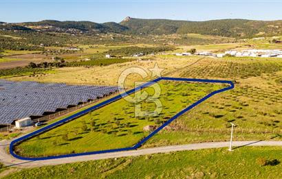 Foça Kocamehmetler’de Tek Tapu Satılık 6.484 m² Tarla 