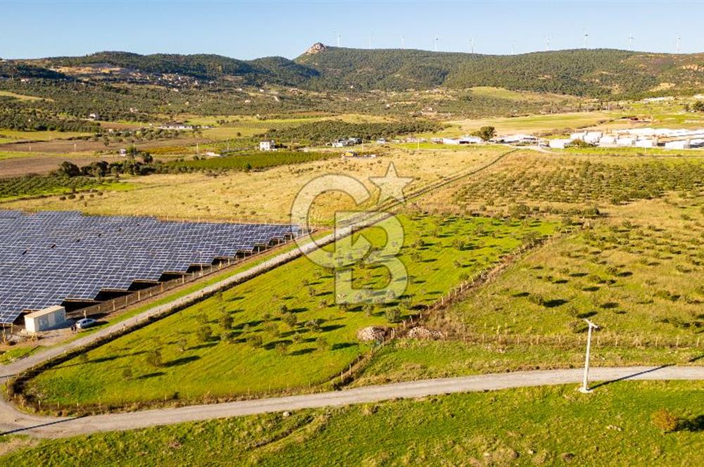 Foça Kocamehmetler’de Tek Tapu Satılık 6.484 m² Tarla 
