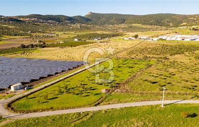 Foça Kocamehmetler’de Tek Tapu Satılık 6.484 m² Tarla 