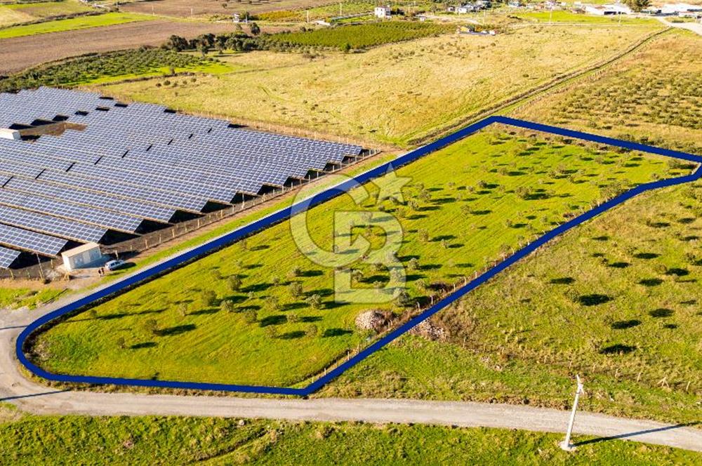 Foça Kocamehmetler’de Tek Tapu Satılık 6.484 m² Tarla 