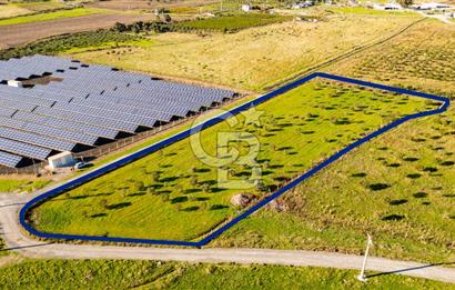 Foça Kocamehmetler’de Tek Tapu Satılık 6.484 m² Tarla 
