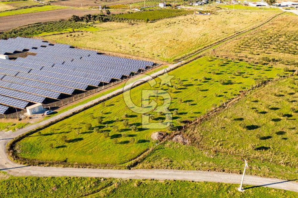 Foça Kocamehmetler’de Tek Tapu Satılık 6.484 m² Tarla 