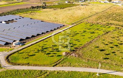 Foça Kocamehmetler’de Tek Tapu Satılık 6.484 m² Tarla 