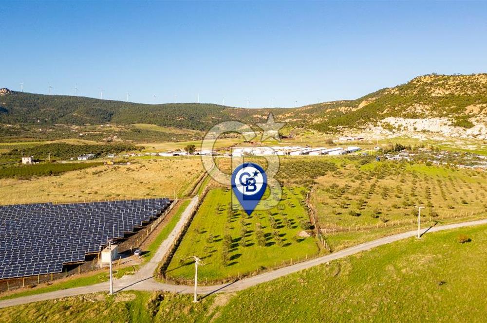 Foça Kocamehmetler’de Tek Tapu Satılık 6.484 m² Tarla 