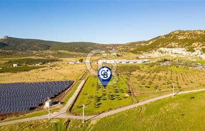 Foça Kocamehmetler’de Tek Tapu Satılık 6.484 m² Tarla 