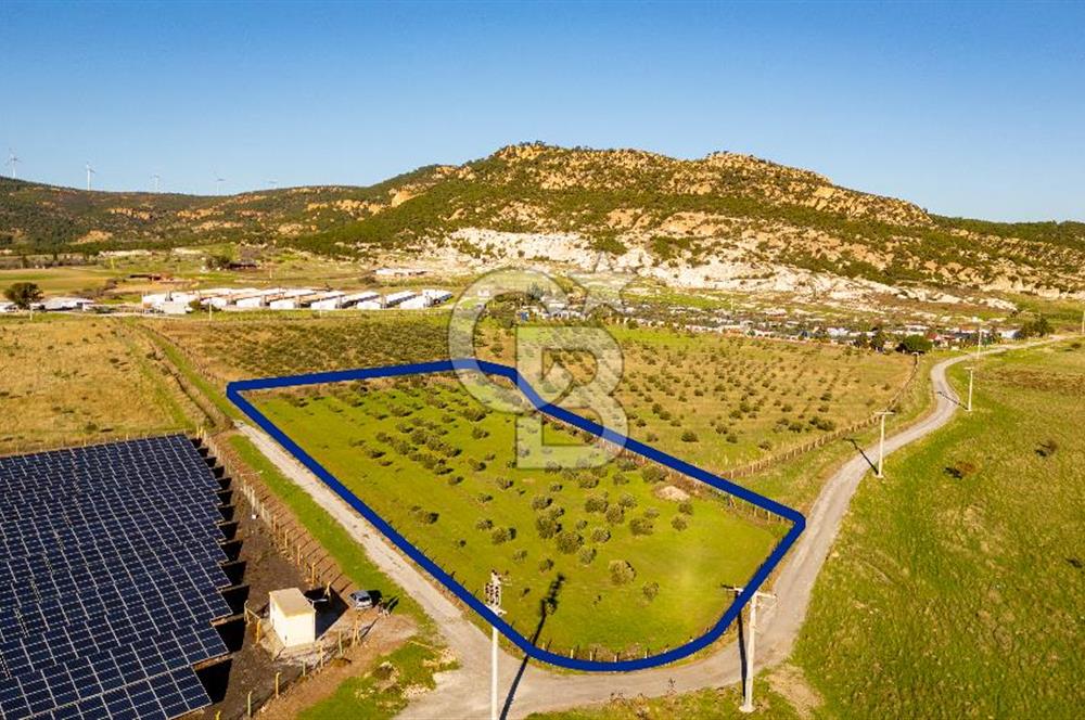 Foça Kocamehmetler’de Tek Tapu Satılık 6.484 m² Tarla 