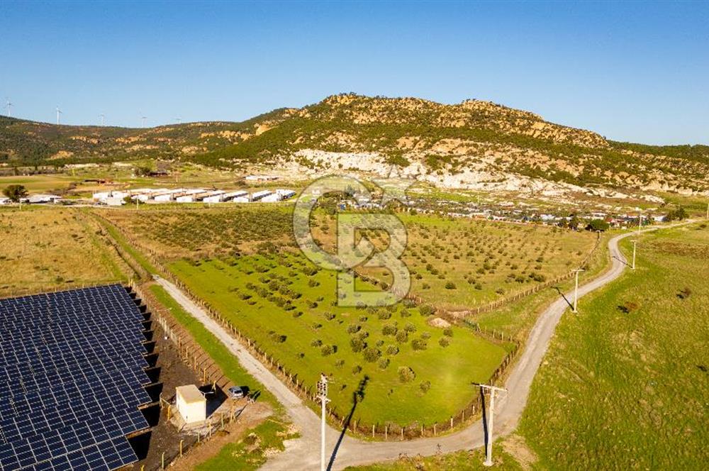 Foça Kocamehmetler’de Tek Tapu Satılık 6.484 m² Tarla 