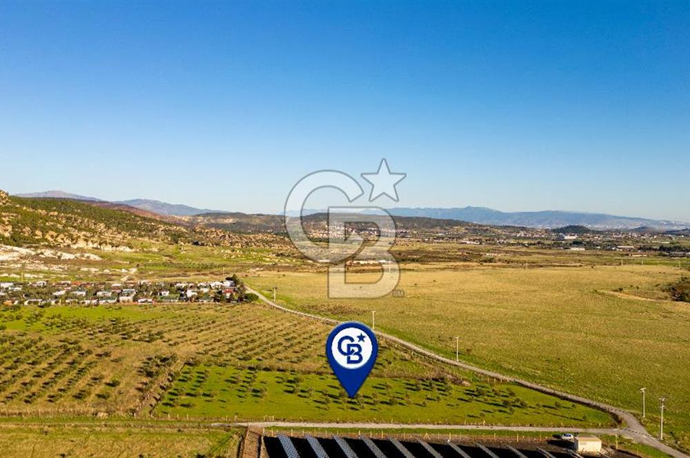 Foça Kocamehmetler’de Tek Tapu Satılık 6.484 m² Tarla 