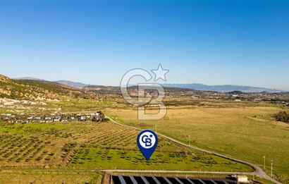 Foça Kocamehmetler’de Tek Tapu Satılık 6.484 m² Tarla 